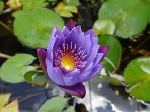 注册相关